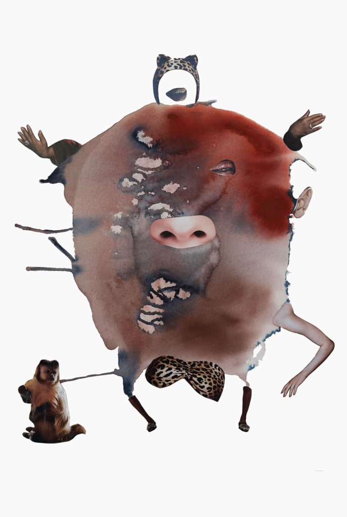 Belly Butterflies Curiosity